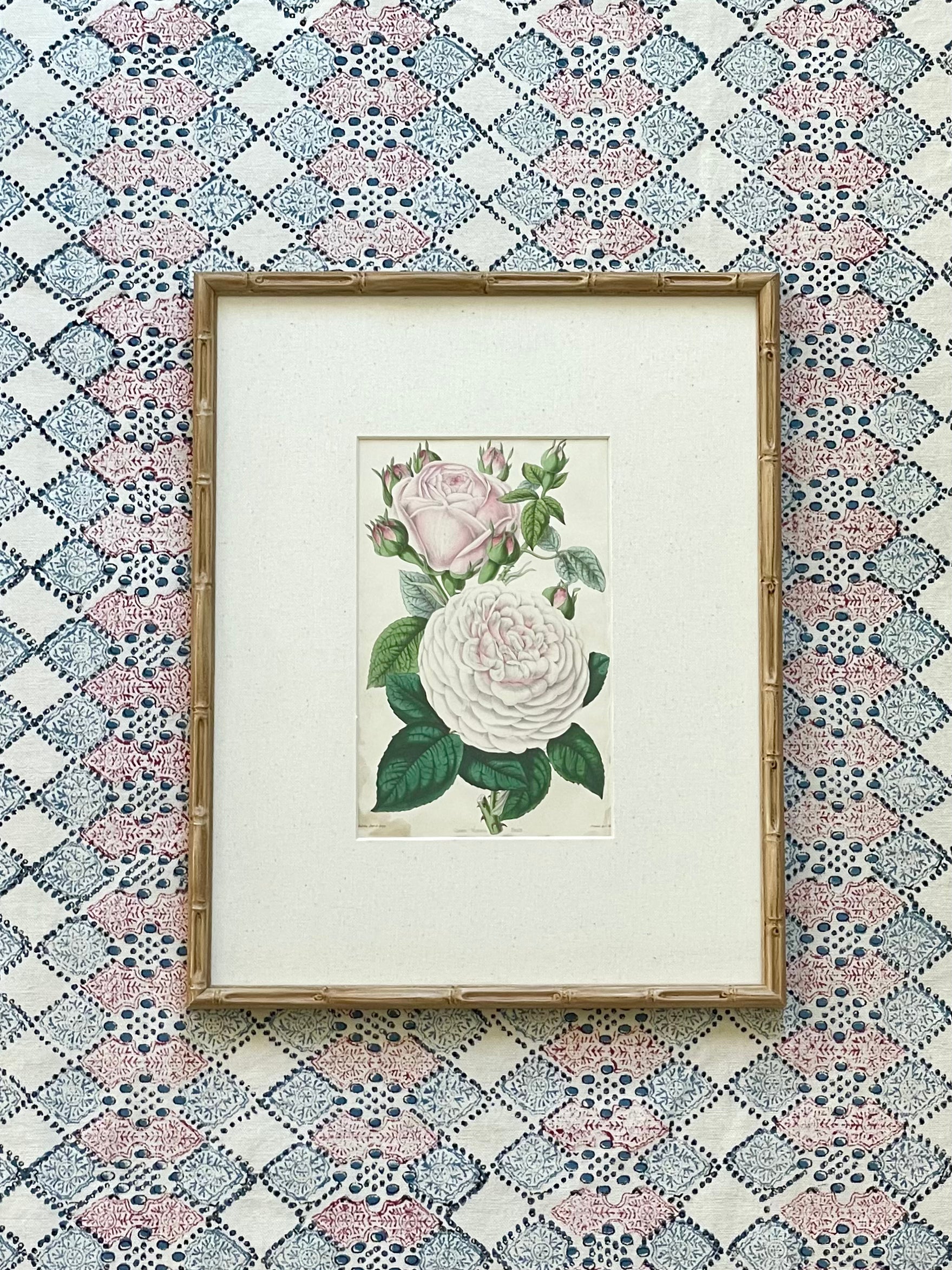 19th Century Floral Botanical Prints