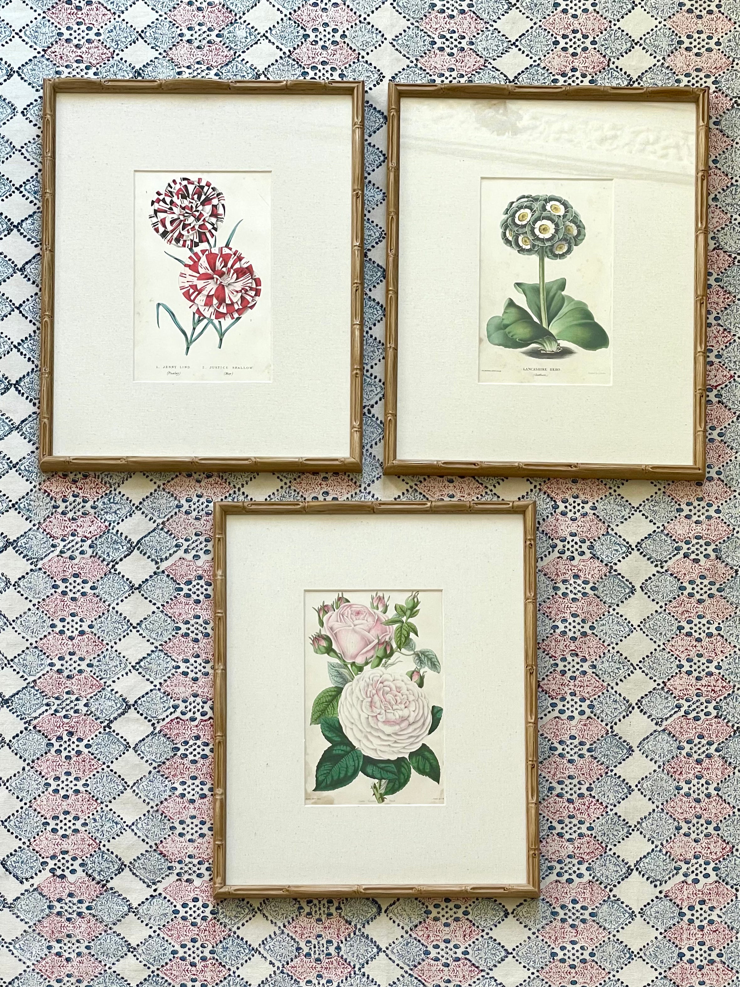 19th Century Floral Botanical Prints