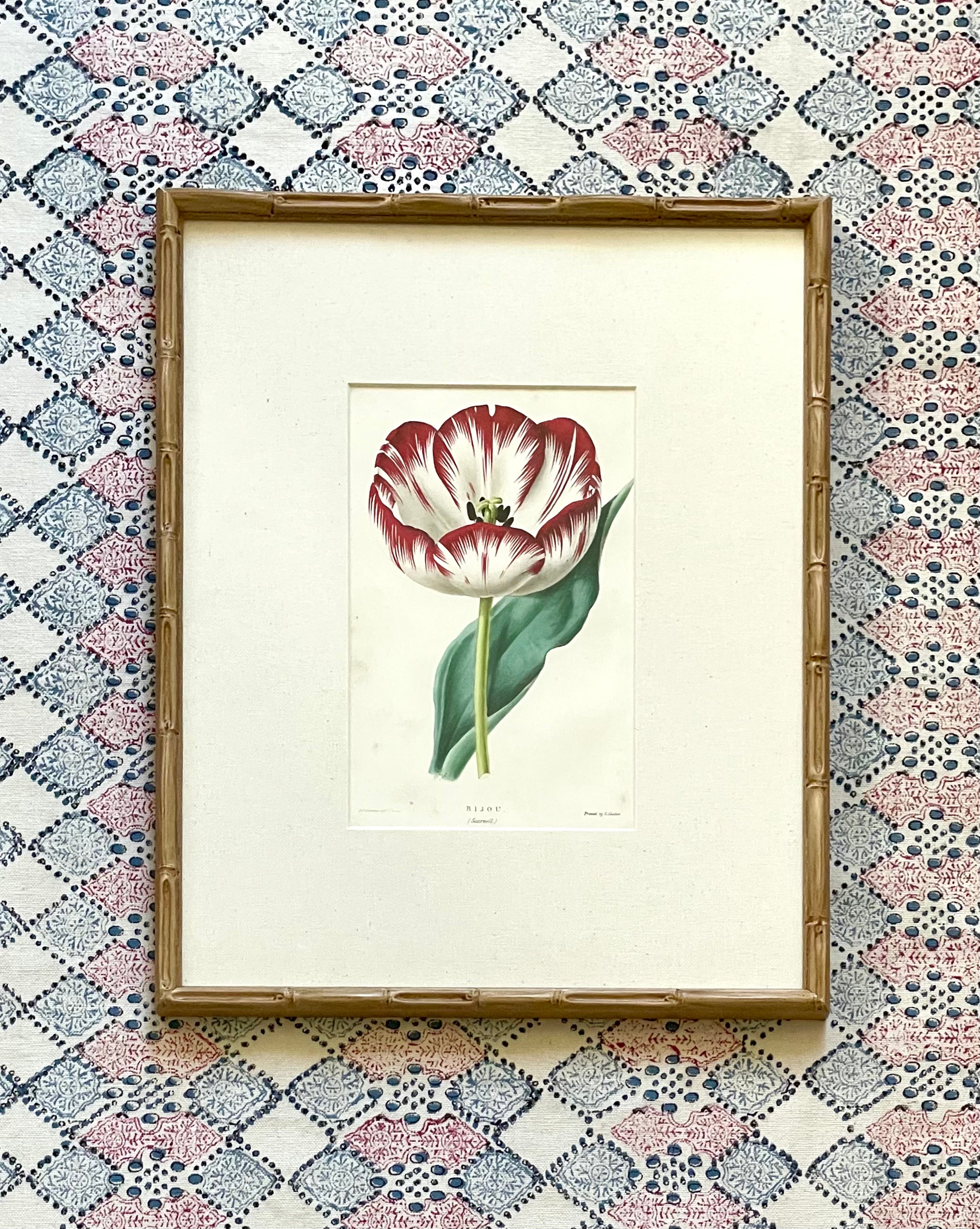 19th Century Floral Botanical Prints