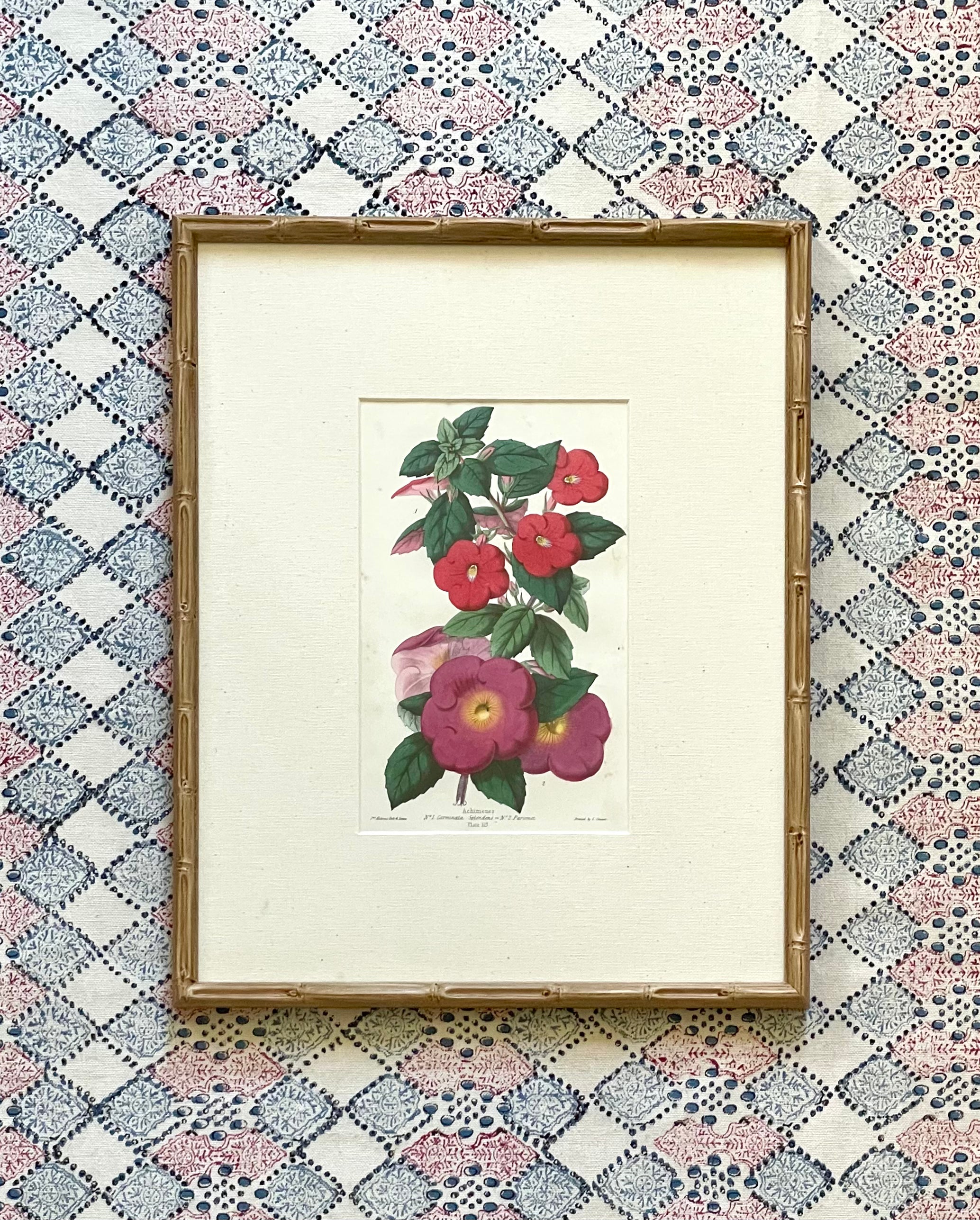 19th Century Floral Botanical Prints