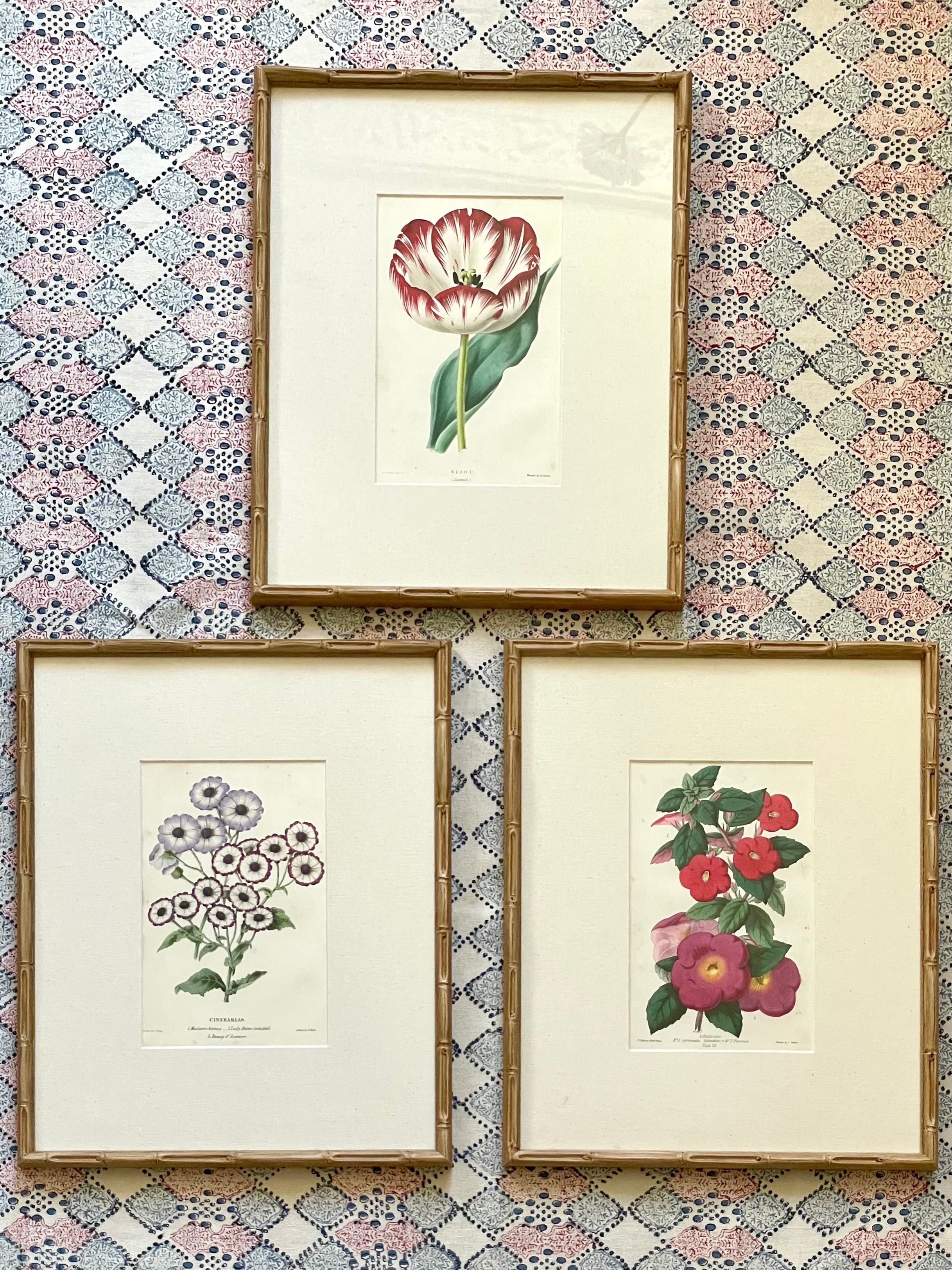 19th Century Floral Botanical Prints