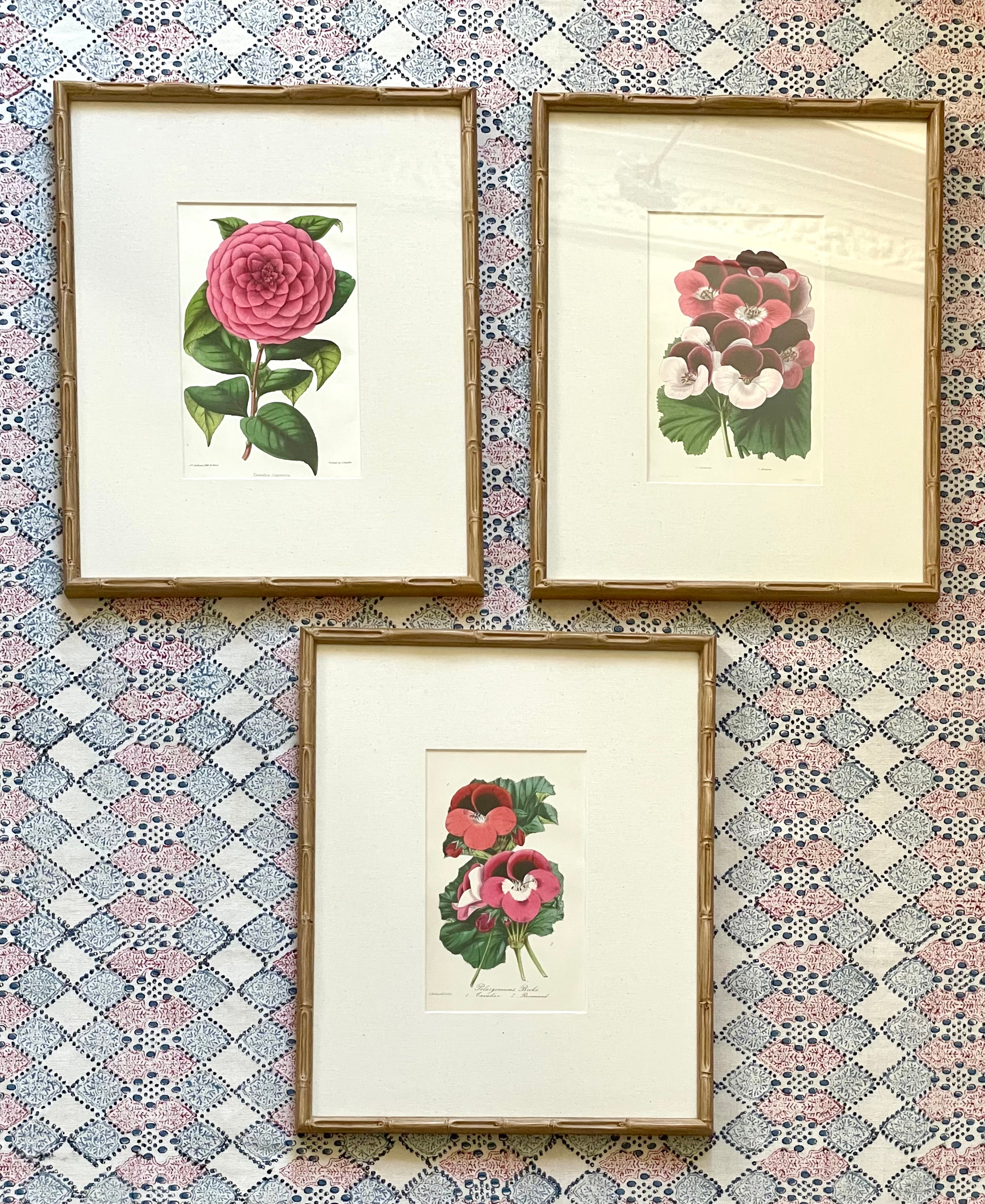 19th Century Floral Botanical Prints