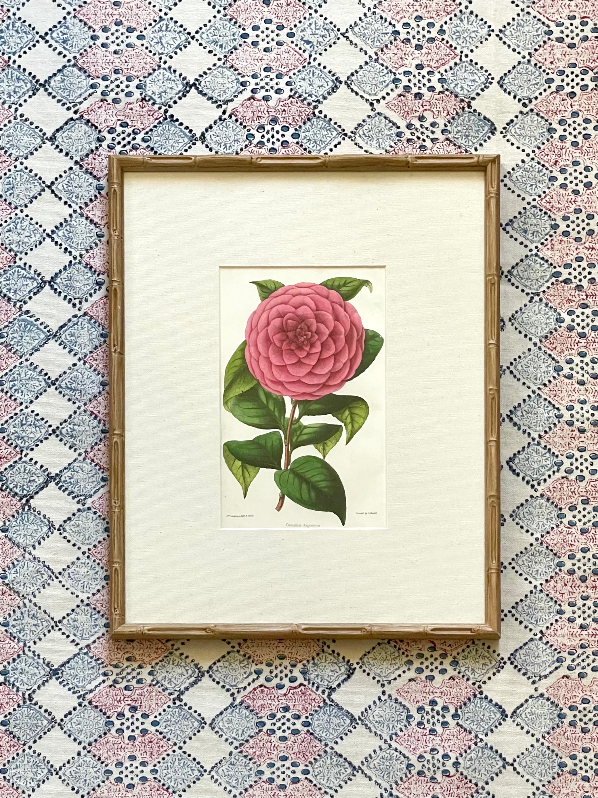 19th Century Floral Botanical Prints