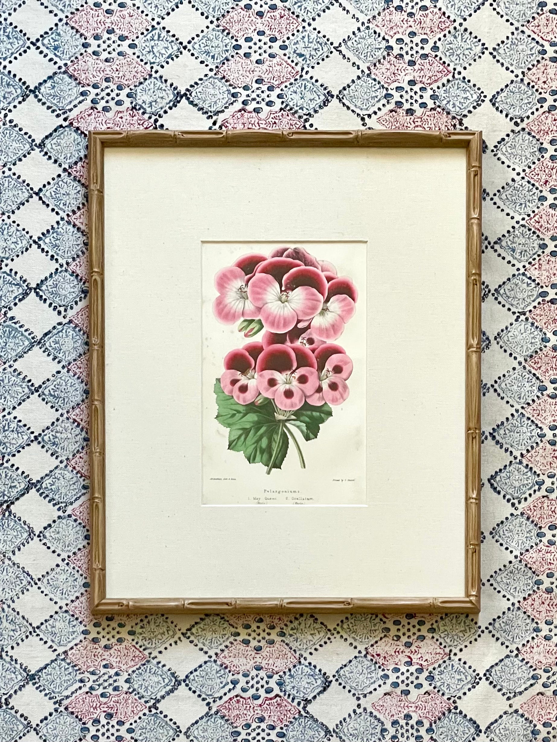 19th Century Floral Botanical Prints