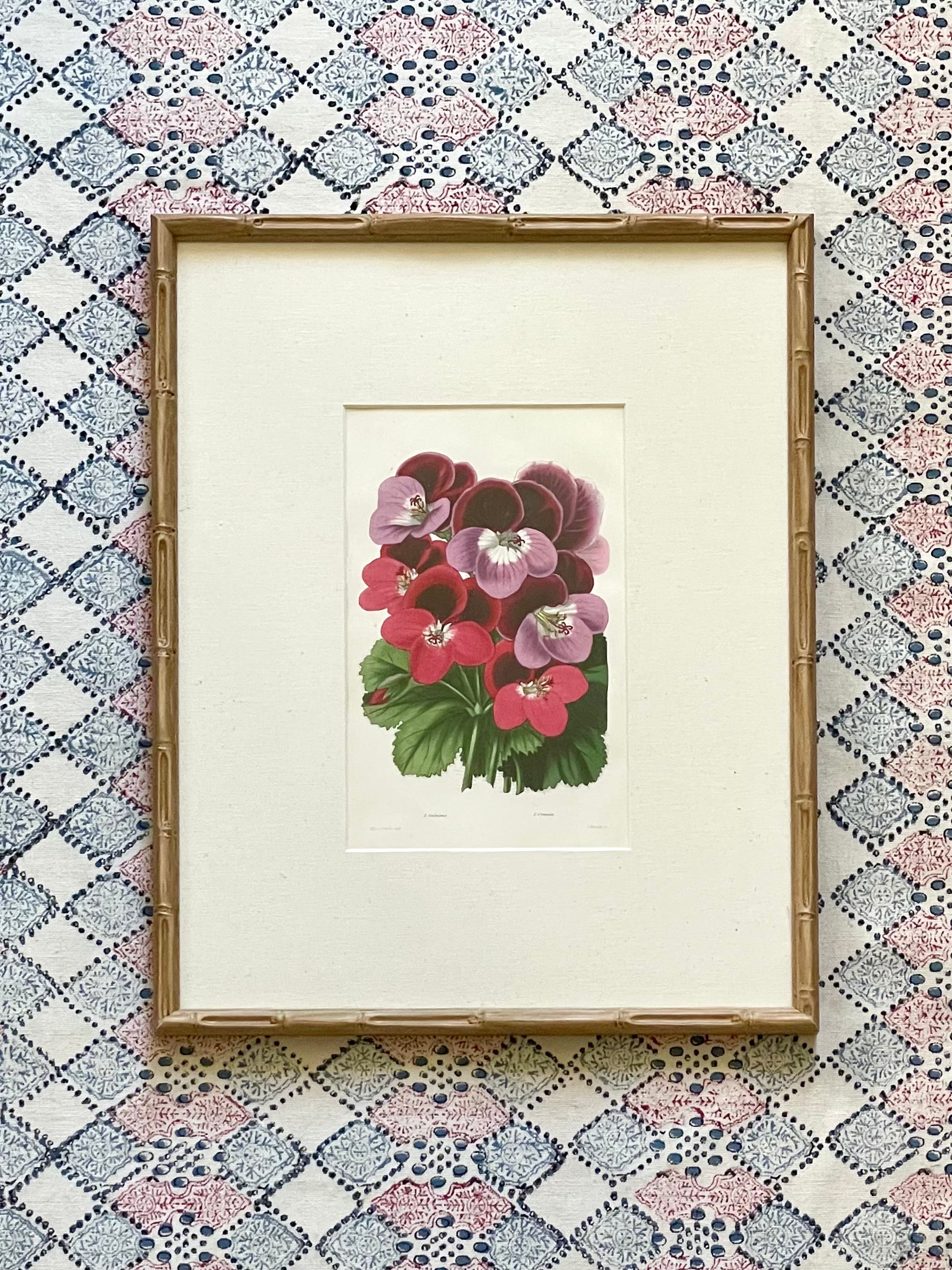 19th Century Floral Botanical Prints