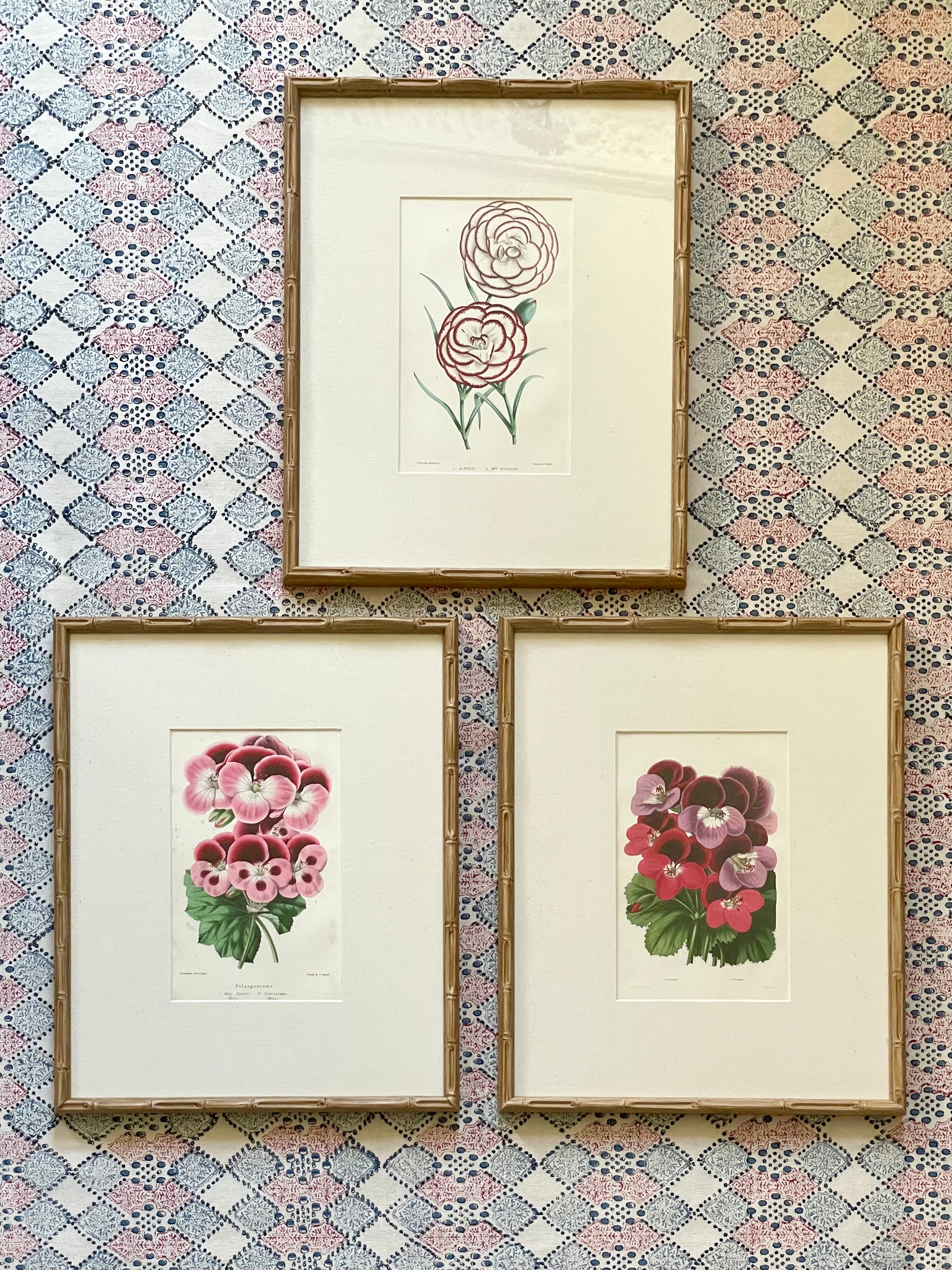 19th Century Floral Botanical Prints