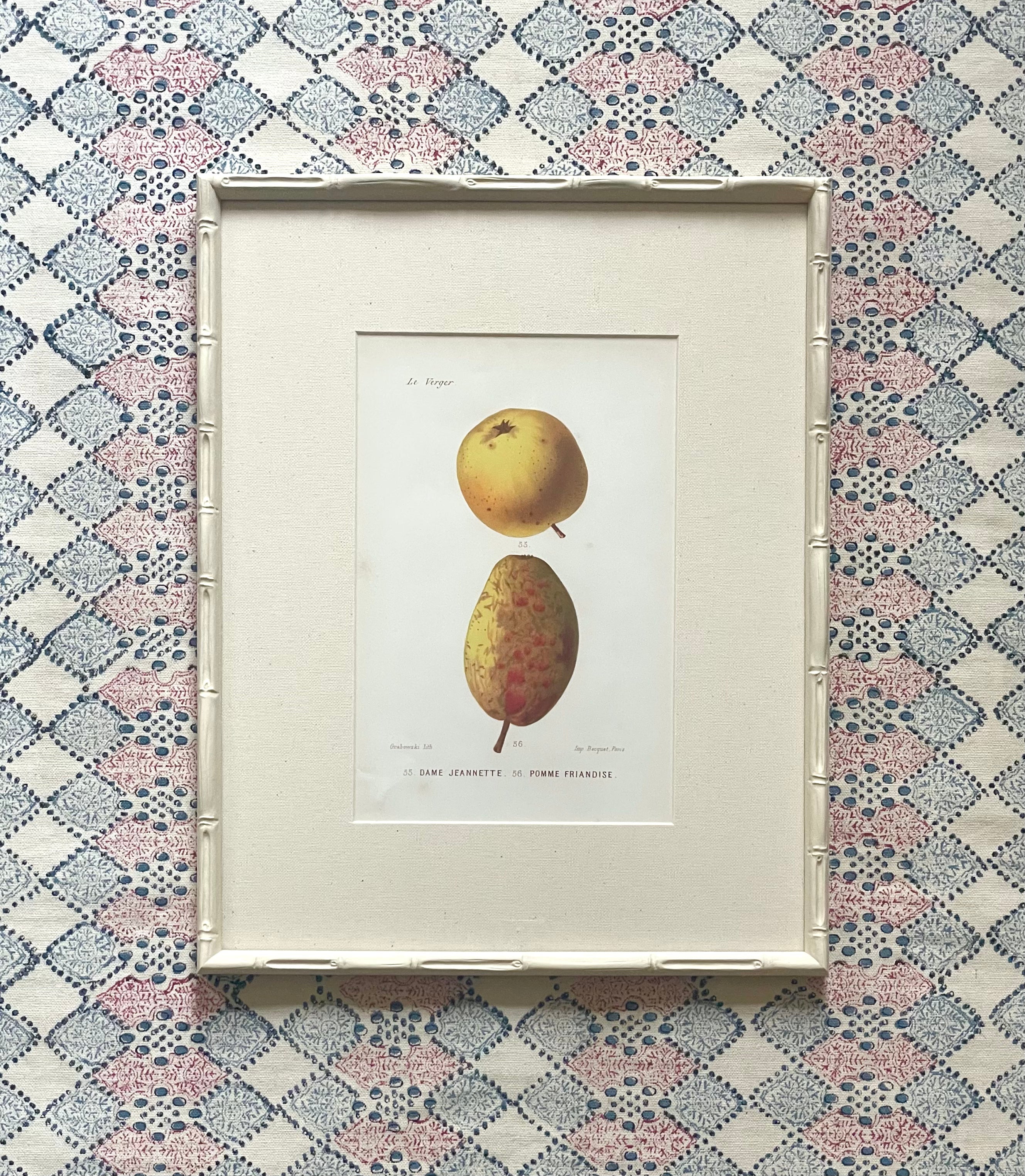 French Apple Botanical Illustrations