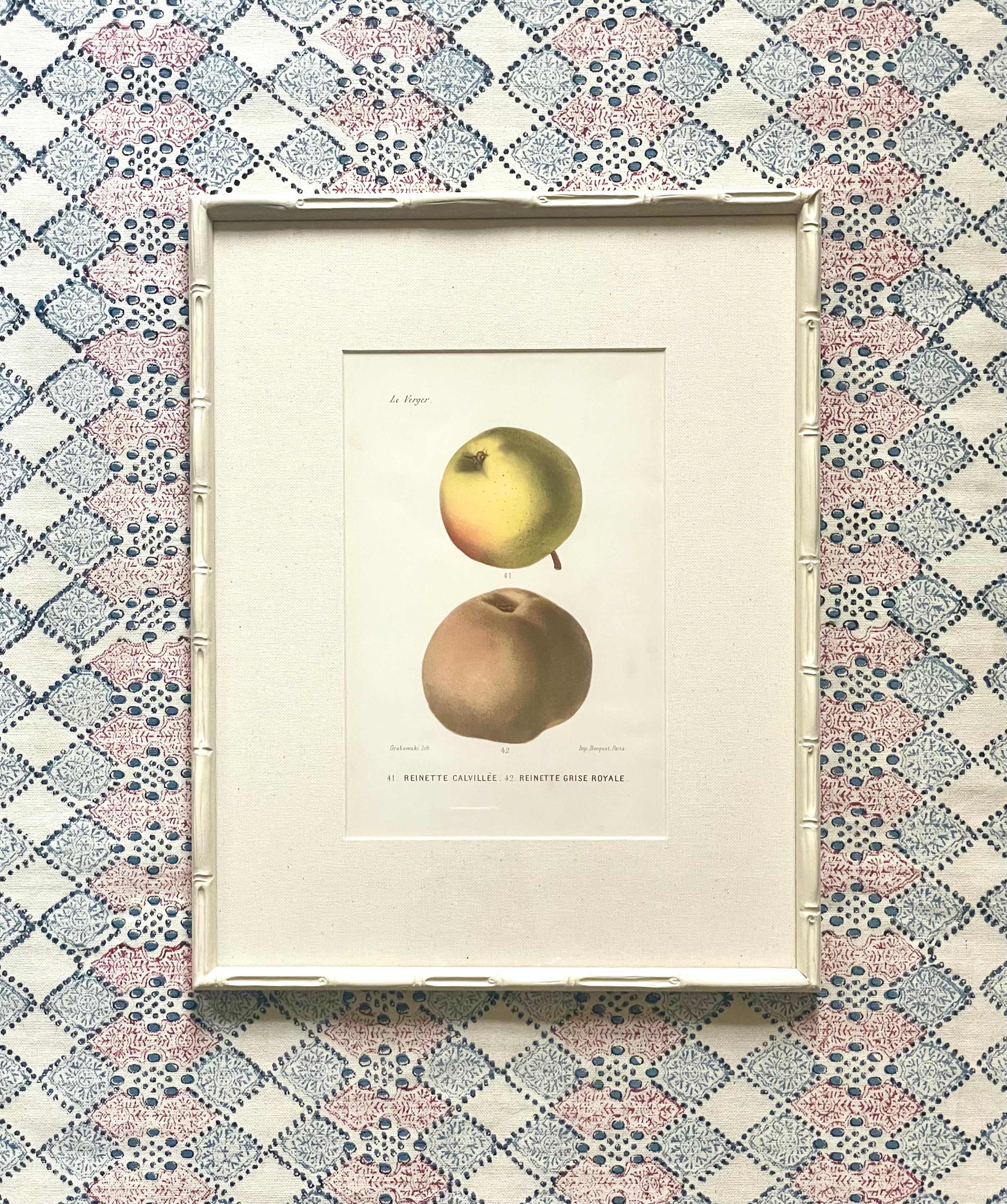 French Apple Botanical Illustrations