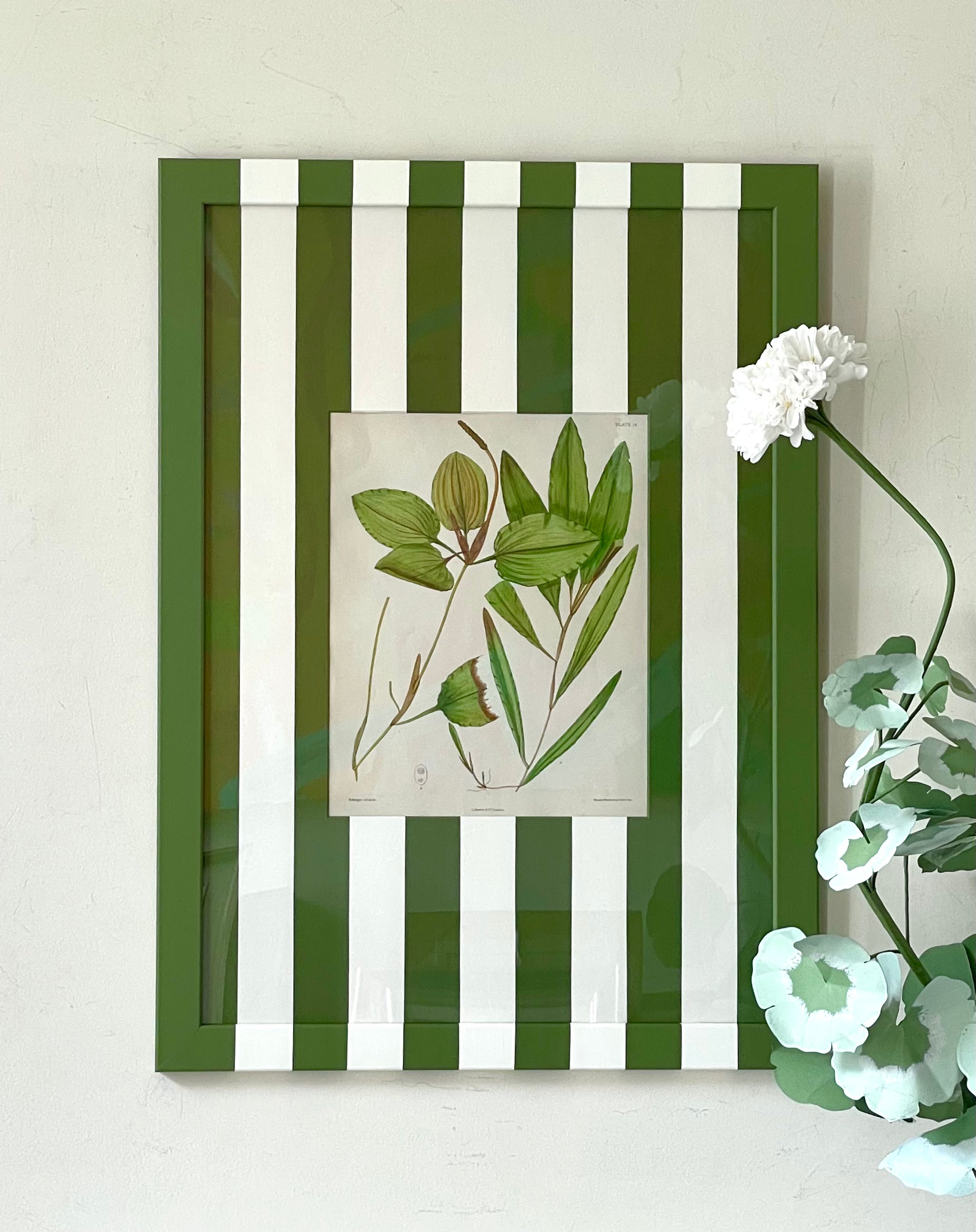 Large Green Striped Botanicals